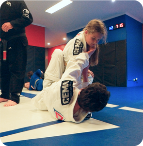 CEMA Boxfit